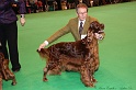 Crufts2011_2 102